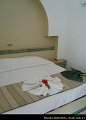 Eldorador Club Aladin - Voyages Laurence SPRL (26)